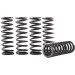 Hinson Racing Hi-Temp Clutch Spring Kit