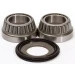 Pivot Works Steering Stem Bearing Kit