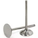 Pro Circuit Titanium Exhaust Valves