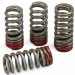 Pro Circuit Valve Springs